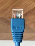 Kabel Ethernet RJ45 1,5 m marki D-Link (niebieski)