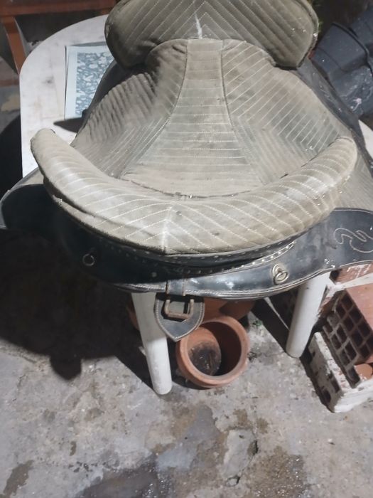 Sela  portuguesa  razoavel