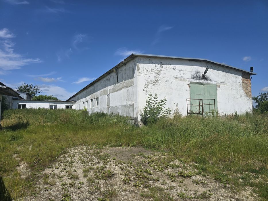 Цех виробництво шпону