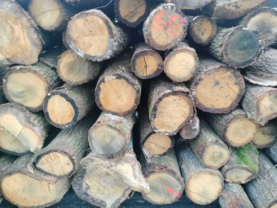 Drewno kominkowe opałowe Drzewo Grab Buk Dąb Brzoza Olcha Akacja Sosna