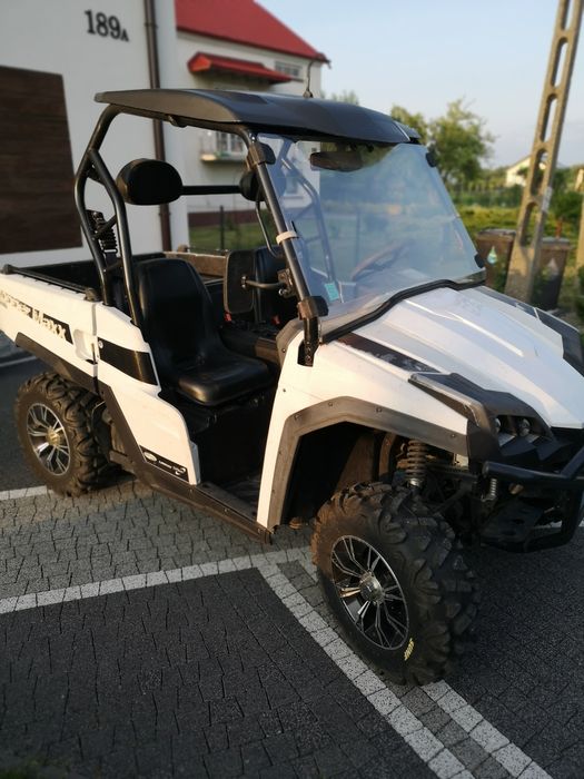 Buggy Jobber. Polecam