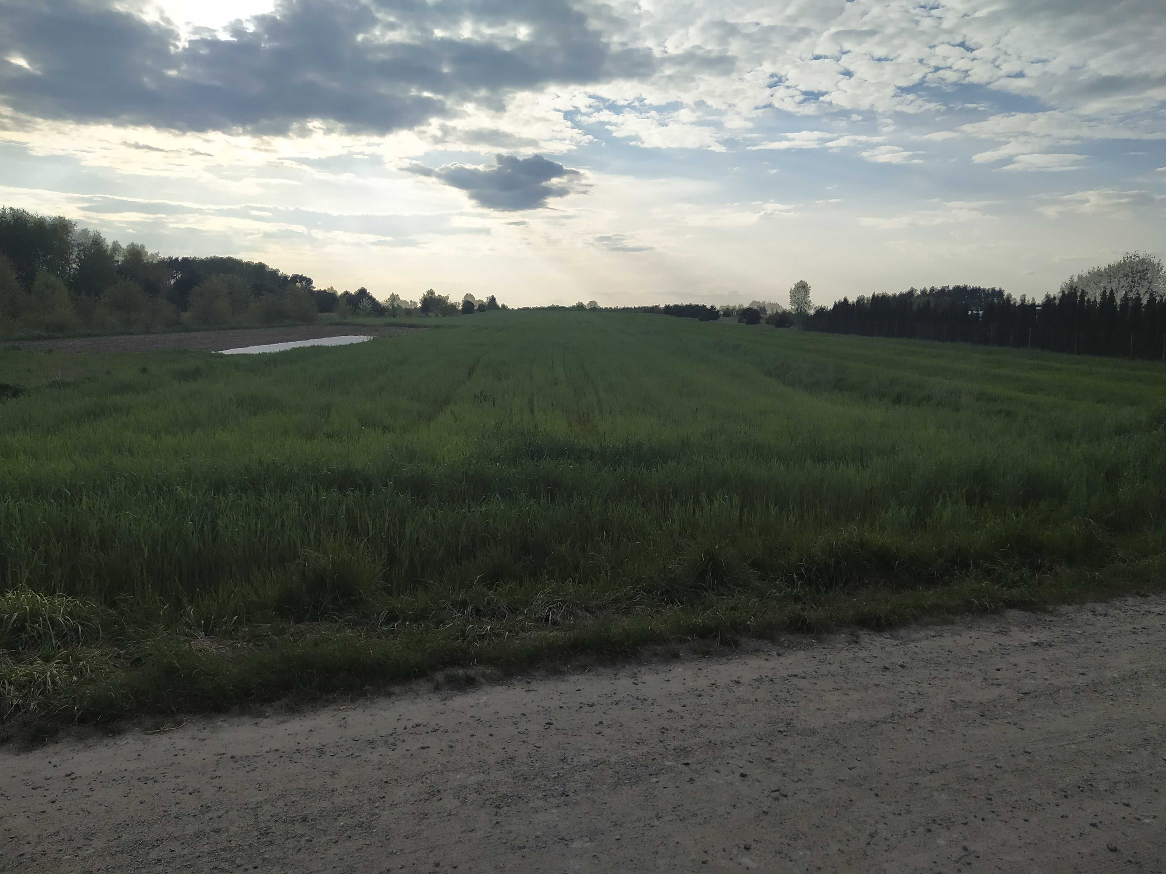 Działki na sprzedaż w pobliżu Narwi