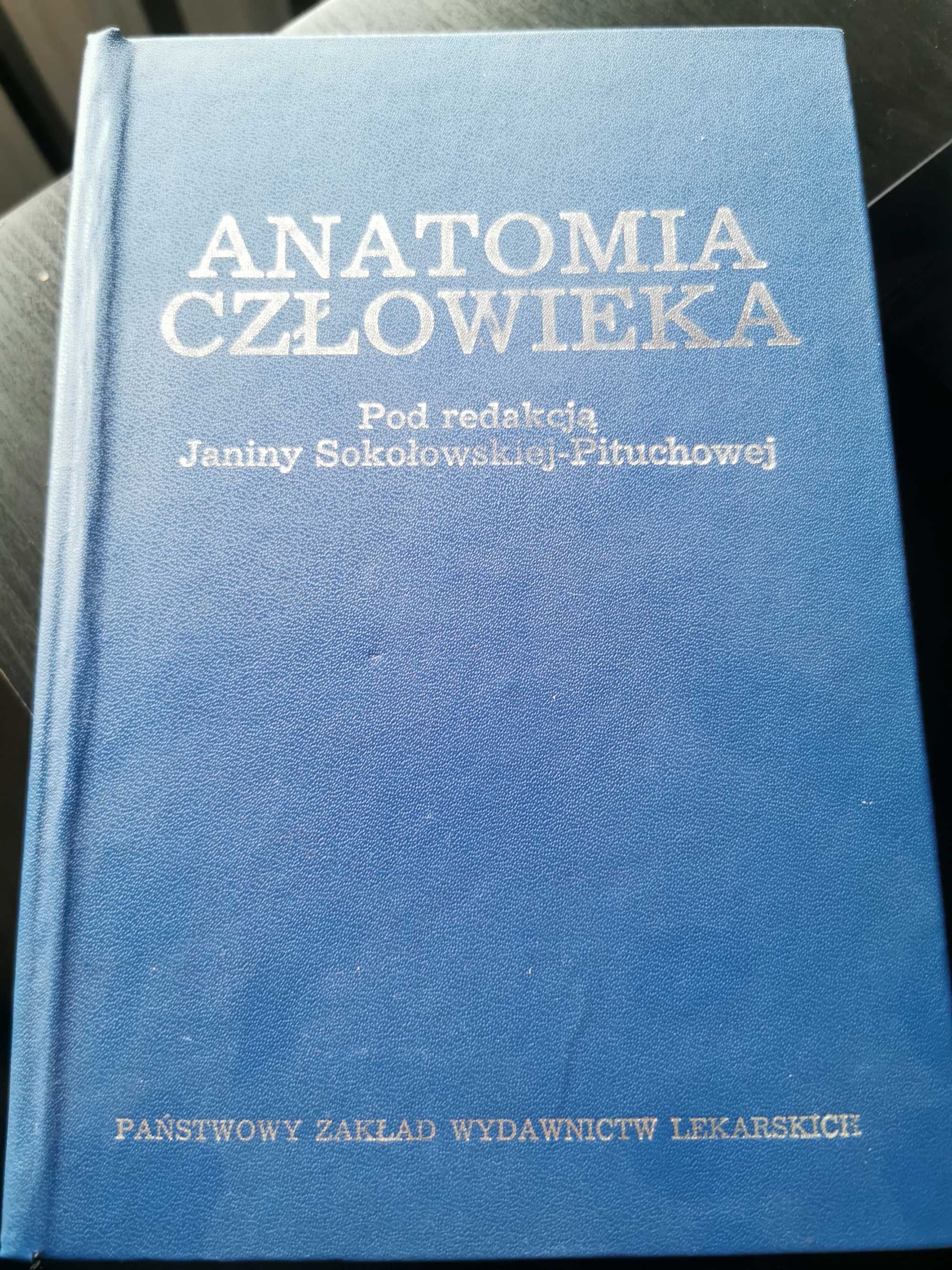 Anatomia człowieka