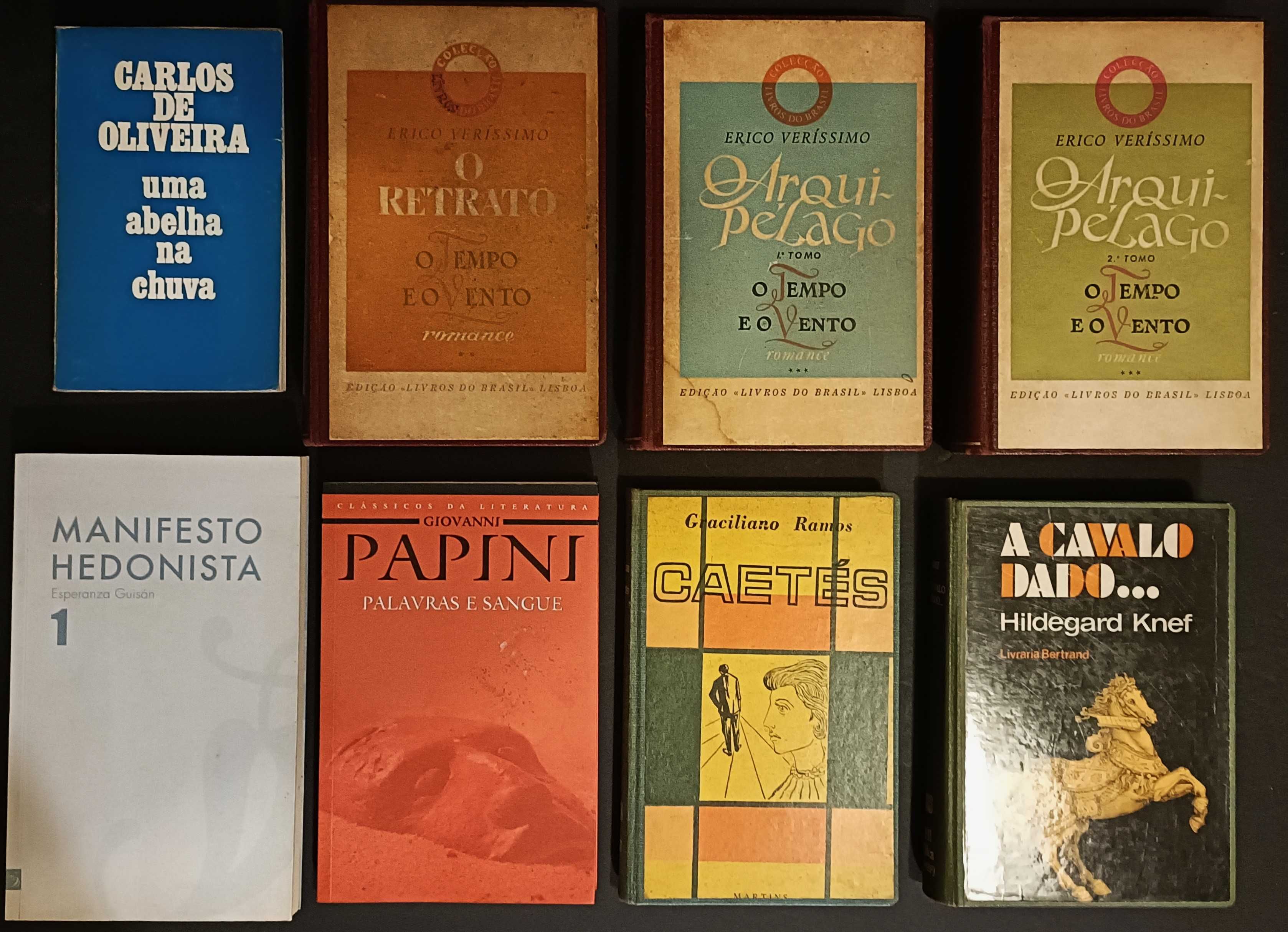 39 livros. Literatura variada. Lote 250€.