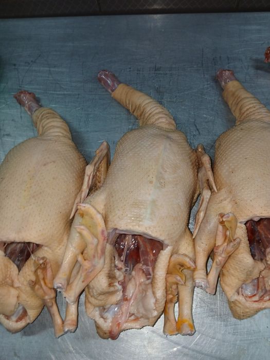 Kaczki gęsi brojlery tusze