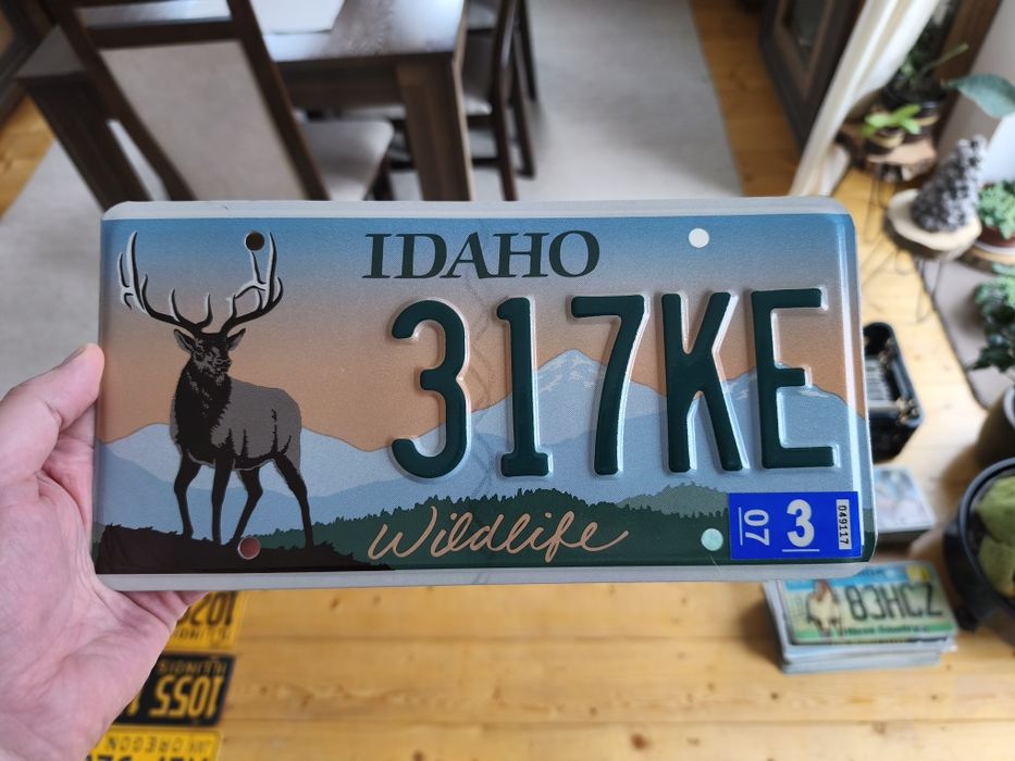 Tablica USA Idaho wildlife super stan na prezent