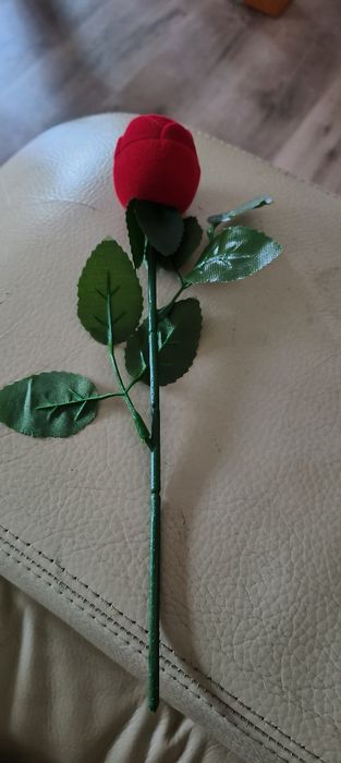 Rosa para anel de noivado