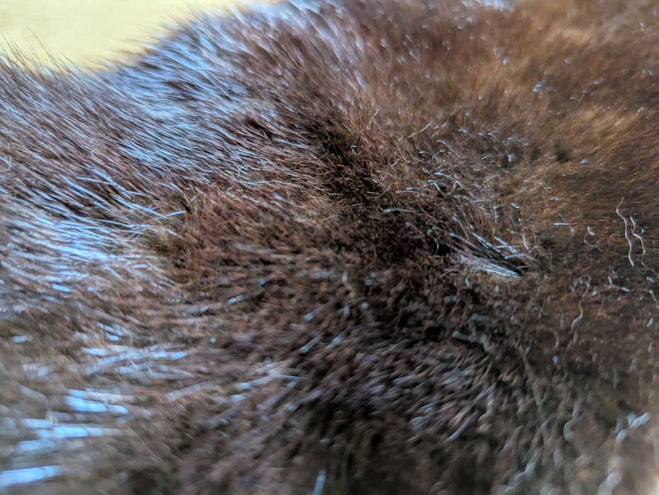 Хутро норки, СРСР