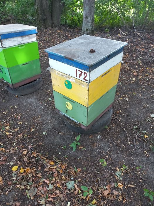 Продам вулики 10 рамочні на рамку Рут