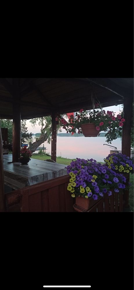 Apartament "Pod Wierzbą"