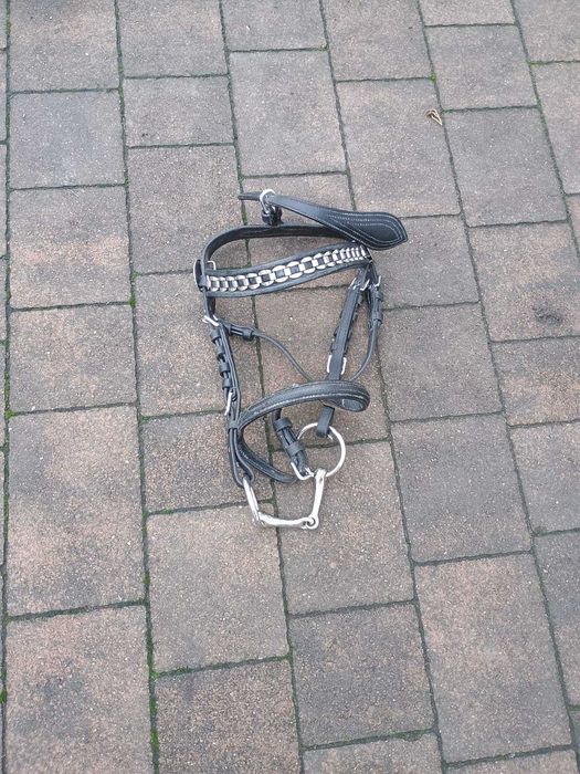 Uprząż konna zaprzęgowa