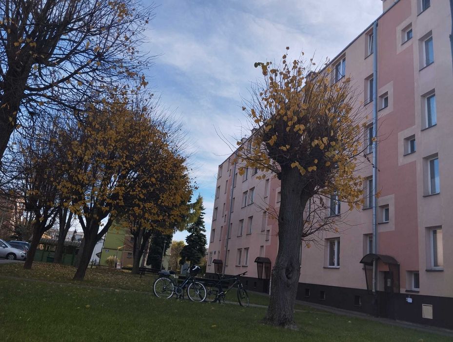 Sprzedam mieszkanie Jagiellonów