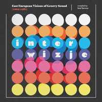 Various ‎– Interwizje. East European Visions Of Groovy Sound