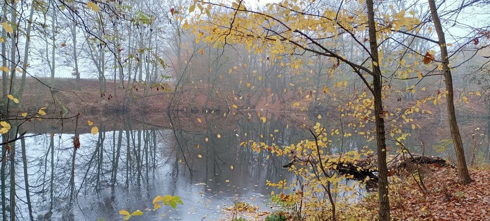 Domek na  Mikołajki z jacuzzi  blisko Warszawy nad rzeką - Romek