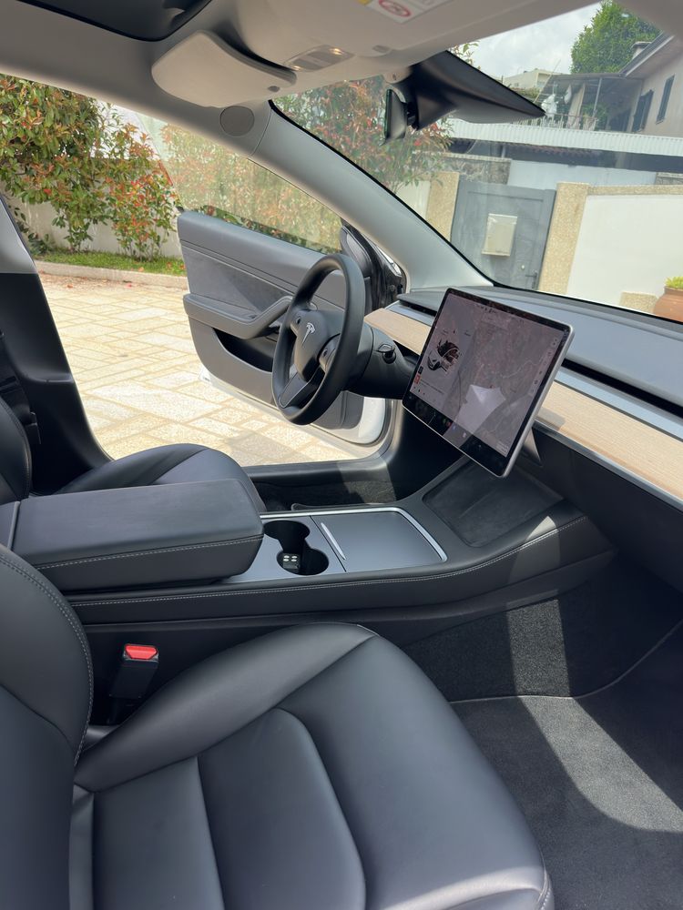 Model 3 performance 2021/60mil kms