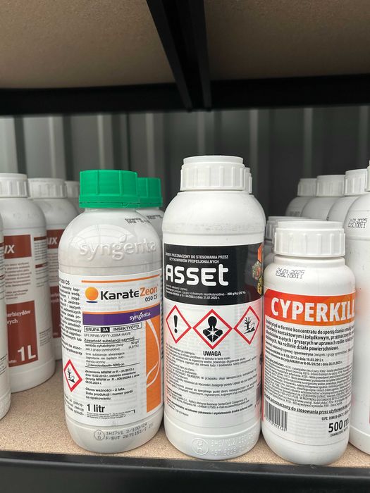 Środki ochrony roślin – jesienne zwalczanie chwastów w zbożach ozimych