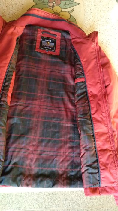 Casaco Lion of Porches