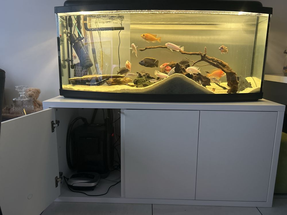 Akawrium 250l  z zyciem