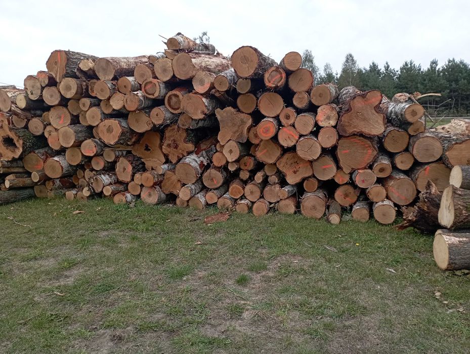 Sprzedam drewno opałowe kominkowe