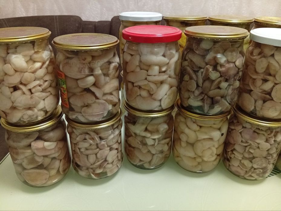 Гриби мариновані маслюки, маслята 0.5 літри
