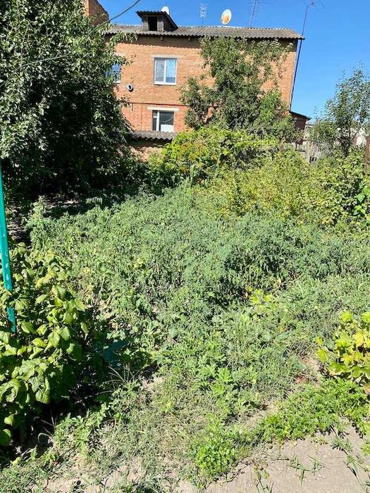 Продам пів будинку з меблями  Богодухів (169119)