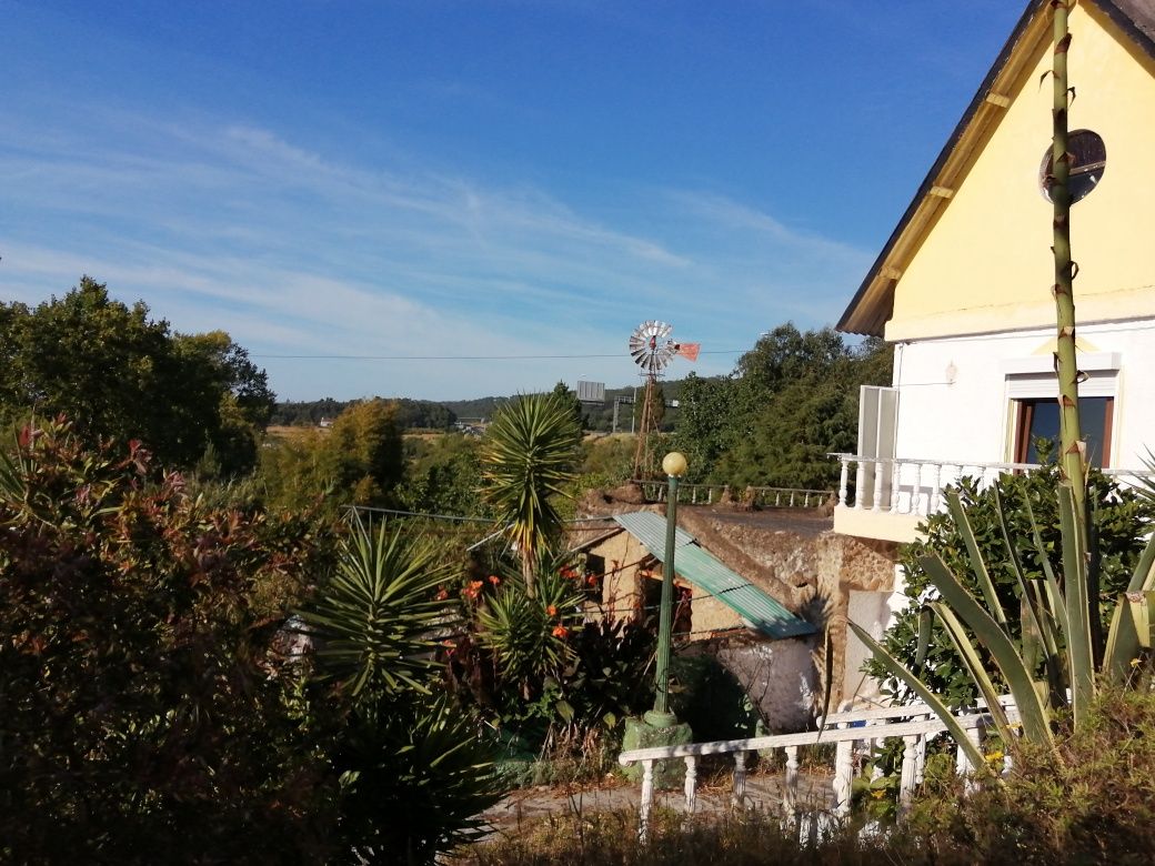 Terreno rústico com lagar e adega, por apartamento com vista de mar.