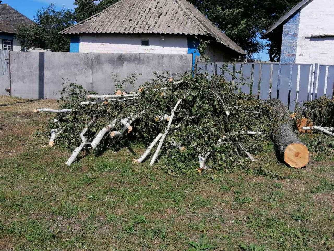 Продам дрова не гнилі, самовивіз