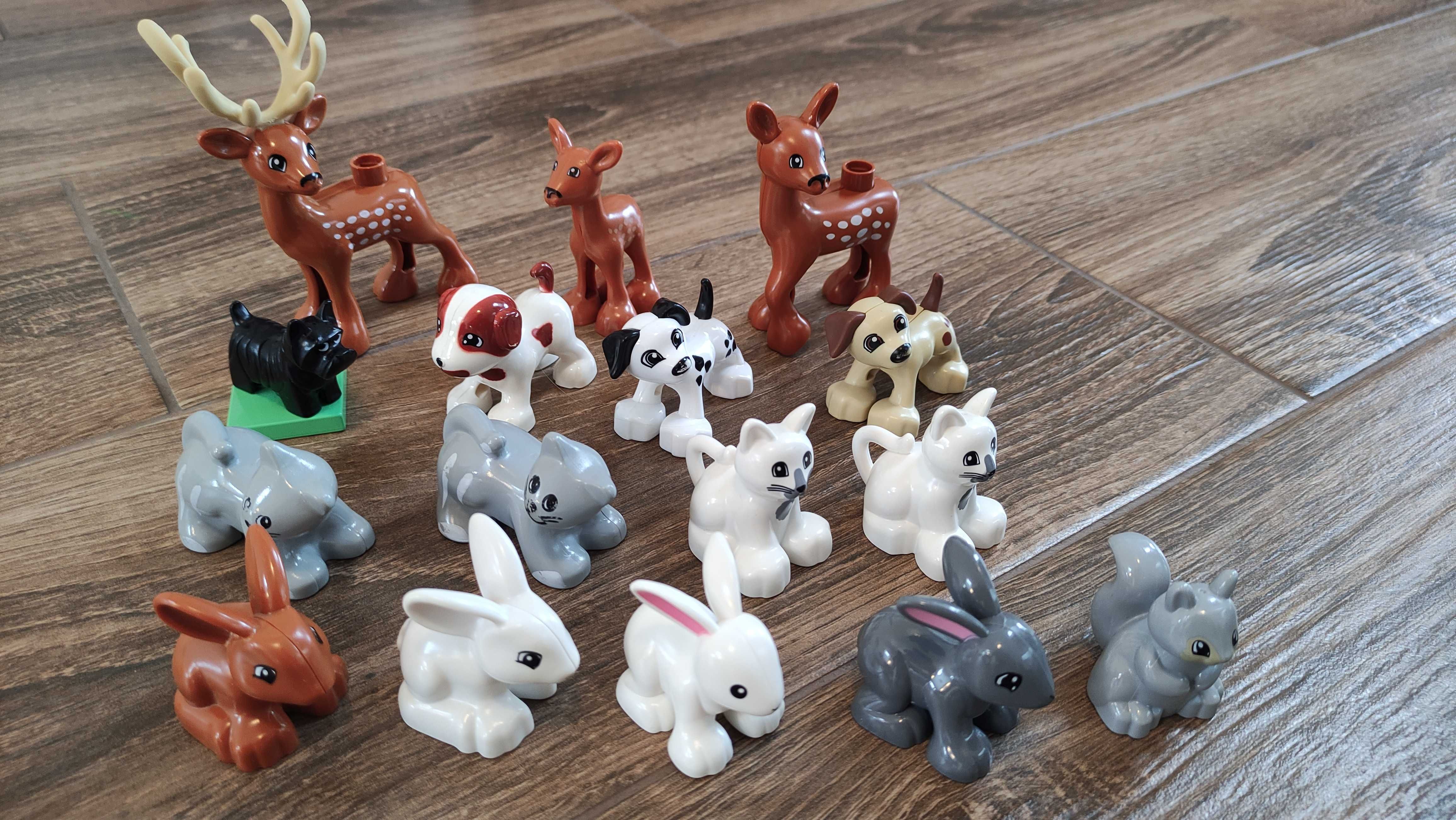 Zestaw klocków Lego Duplo - wiele zestawów ok 300 elementów