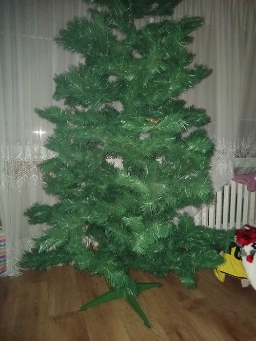 Choinka przepiękna  ponad 2 metry