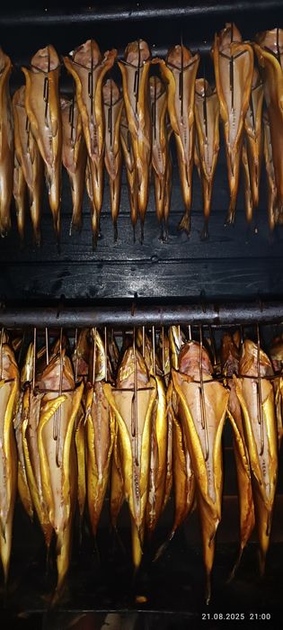 Wędzony pstrąg, makrela buk olcha.