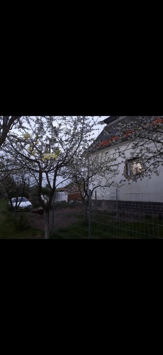 Dom/ Szeregowka/ Budynek gospodarczy