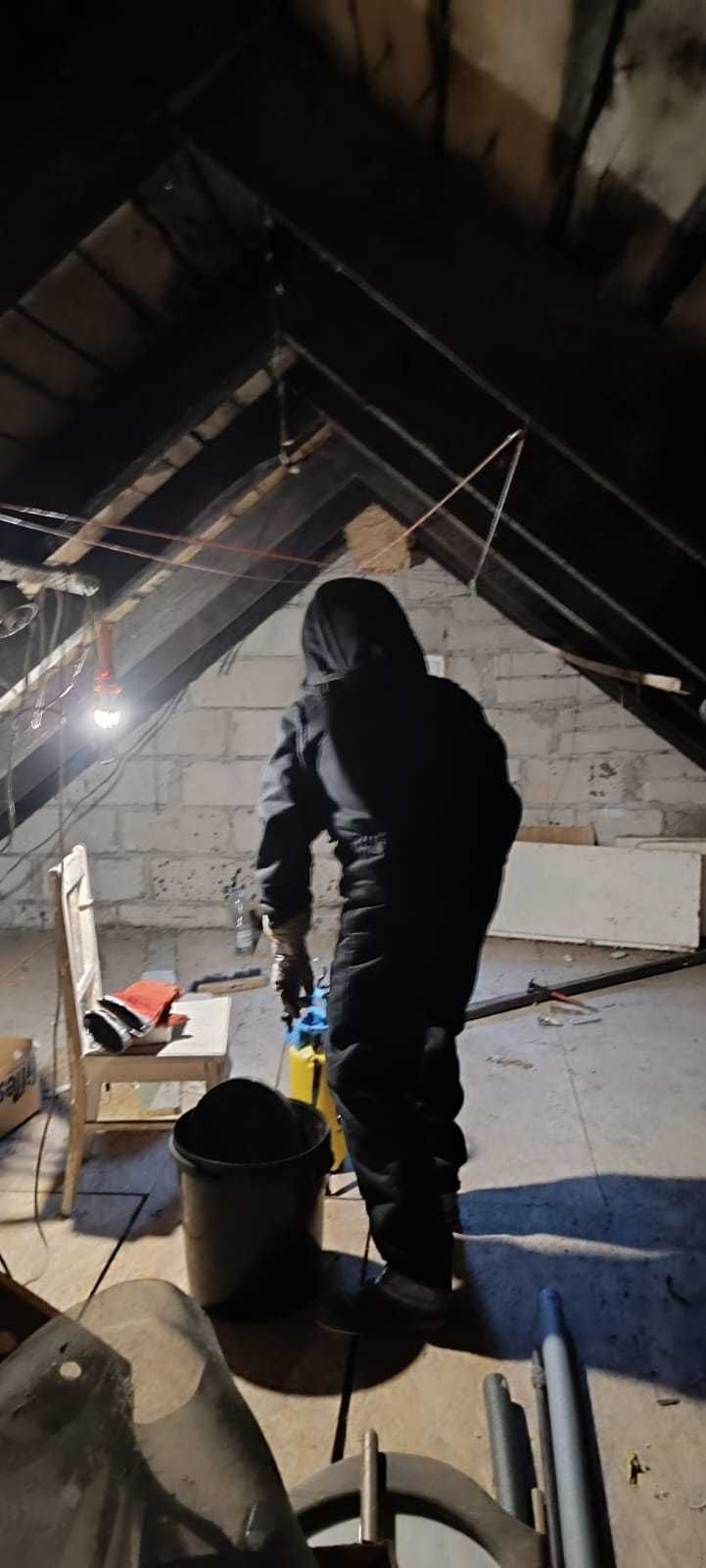 Zwalczanie Pluskiew, Karaluchów, Kretów, usuwanie gniazd OS, Szerszeni