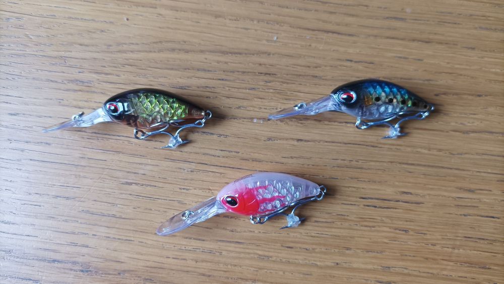 Woblery okoniowe Kingdom