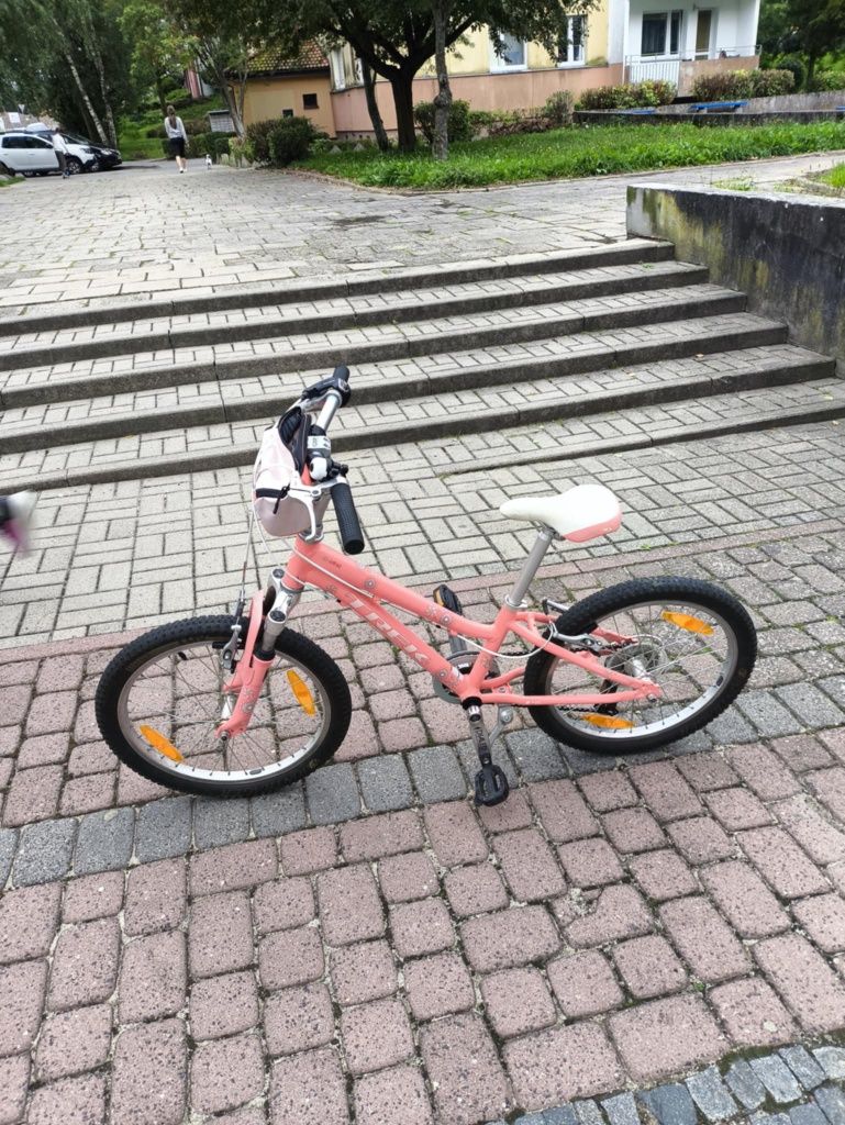 Rower 30 Trek MT60