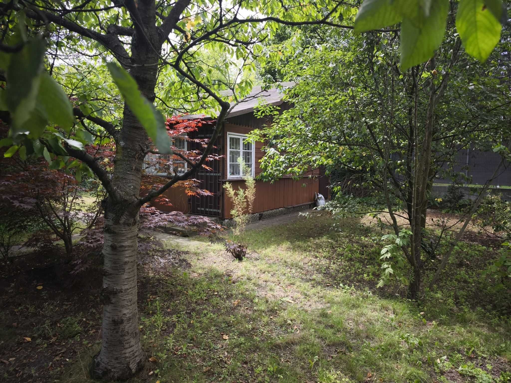 Działka ROD 350m2 Warszawa Annopol