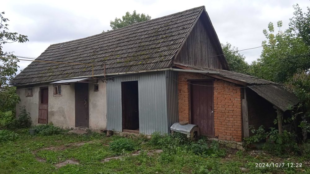 Будинок з присадибною ділянкою