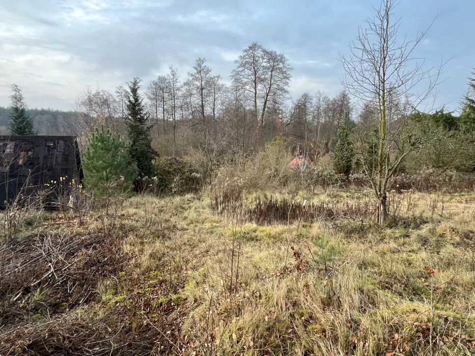 Atrakcyjna działka 2307 m2 z domkiem rekreacyjnym, bezpośrednio
