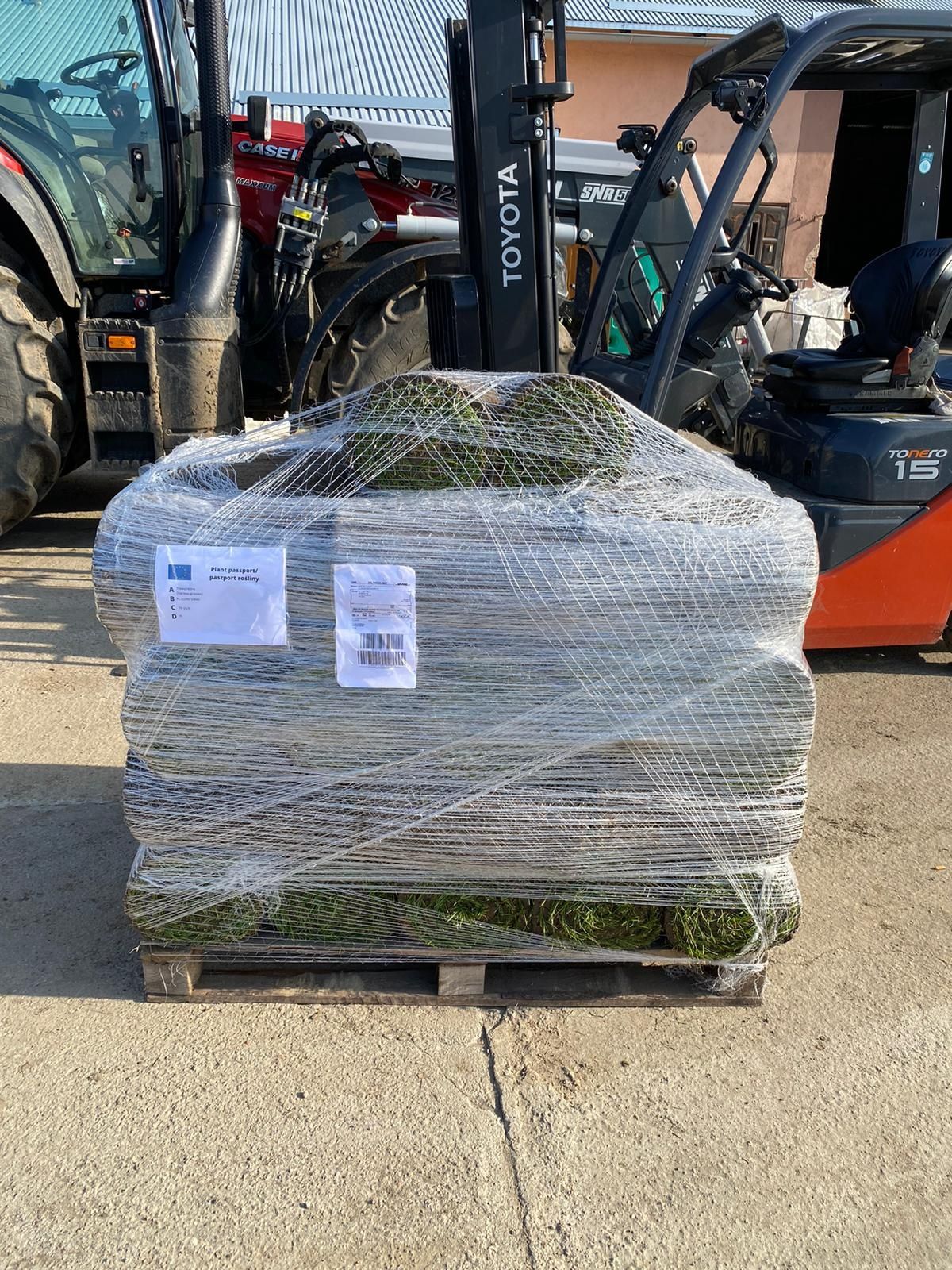 Trawa z rolki/Roll_Grass Producent Trawy