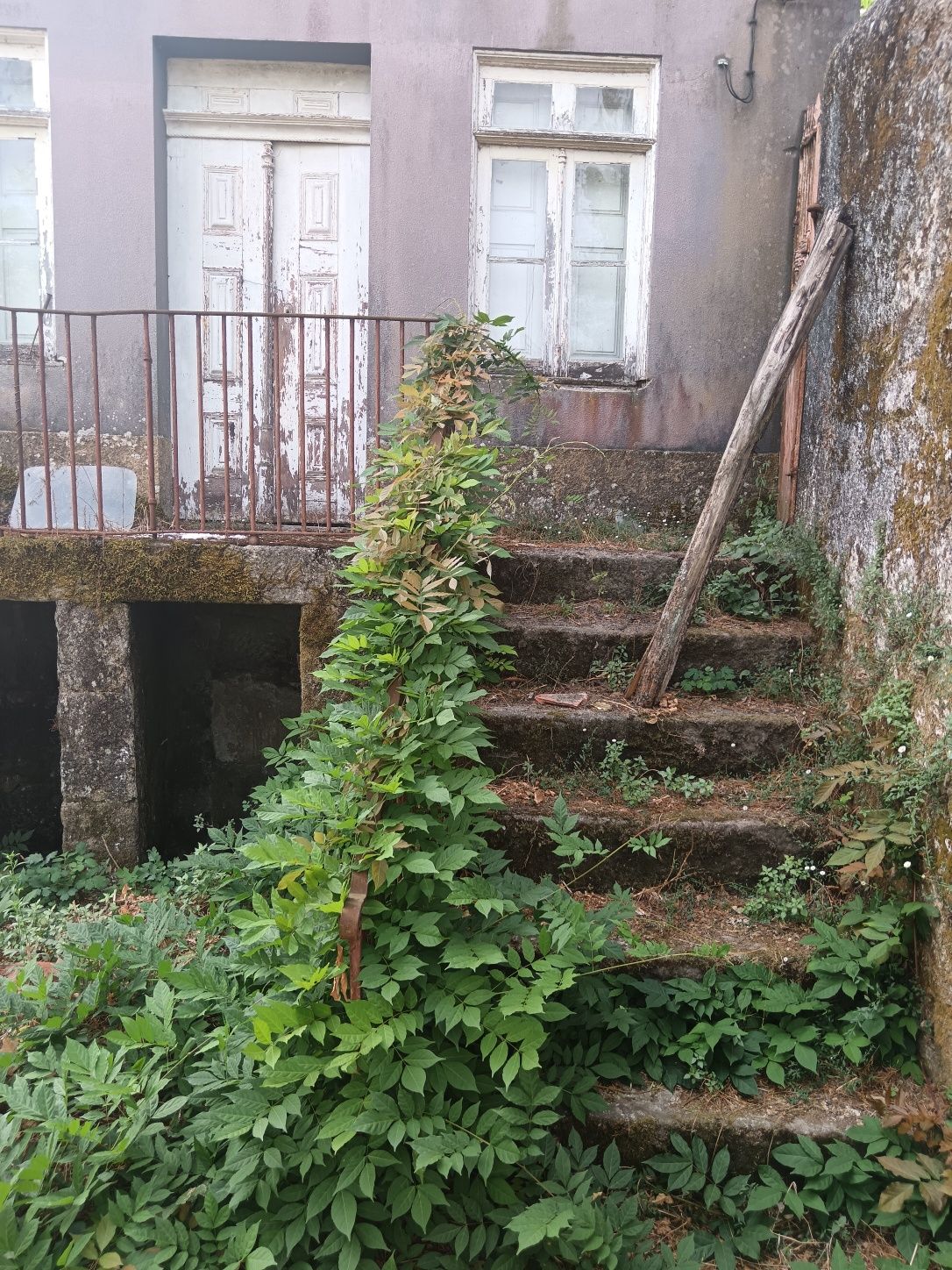 Casa Senhorial  Cinfães Douro