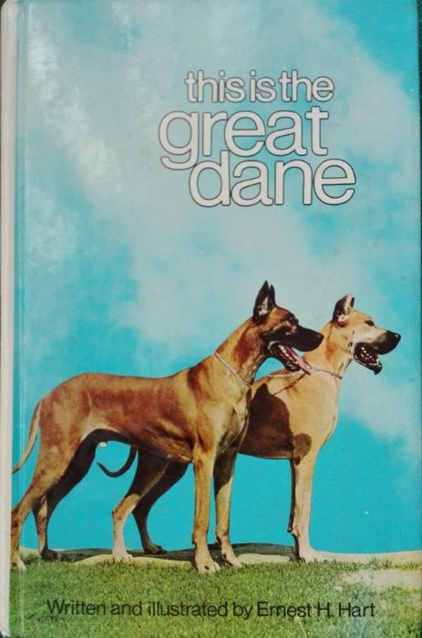 This is the great dane