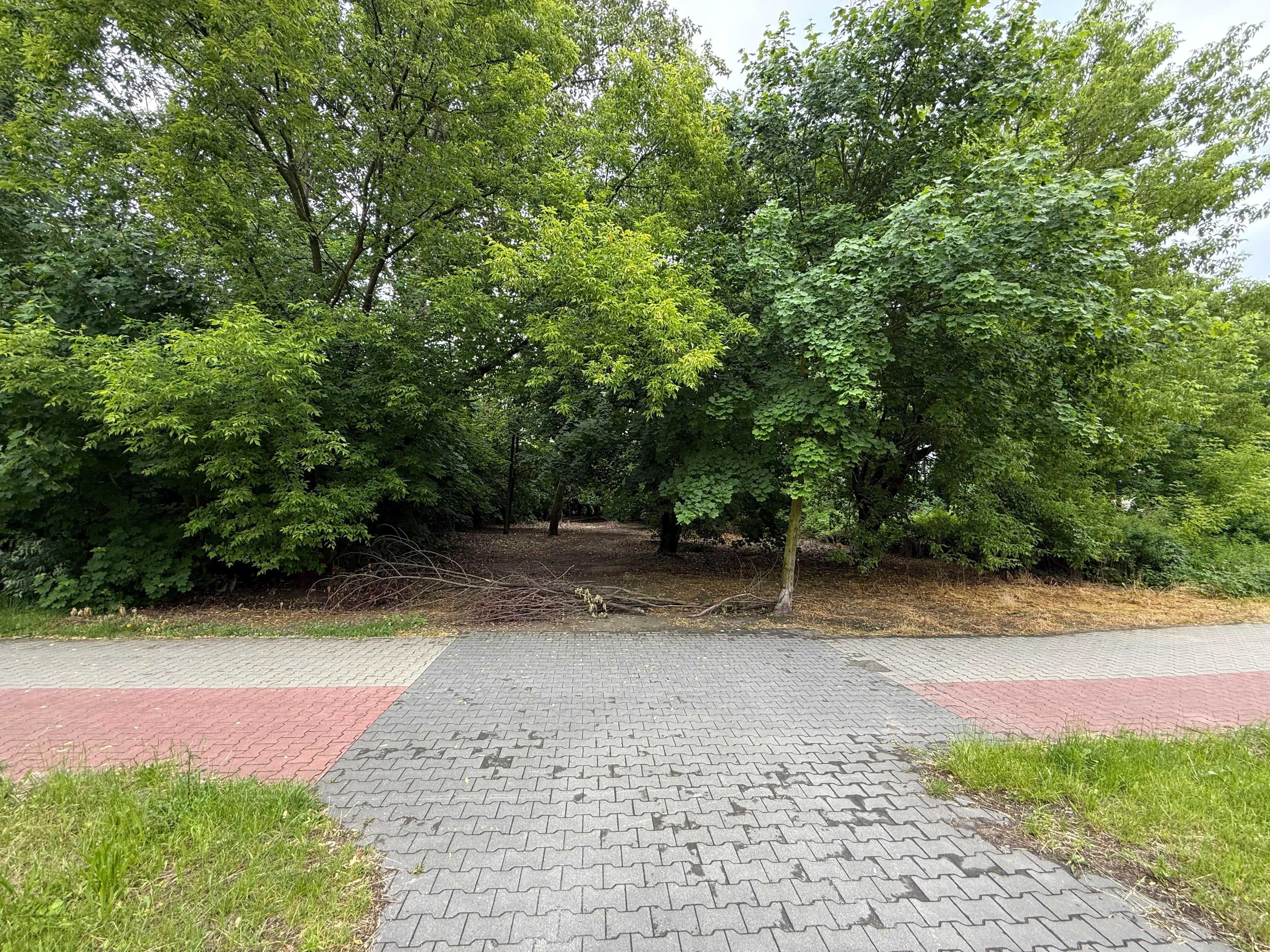 Sprzedam działkę w Parzniewie pod Bliźniak