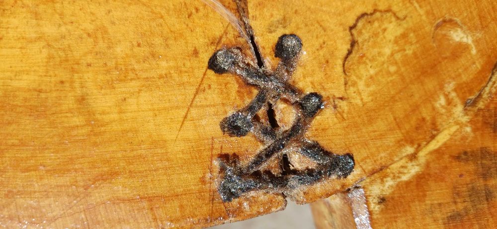 Stolik MIODOWY drewniany HANDMADE