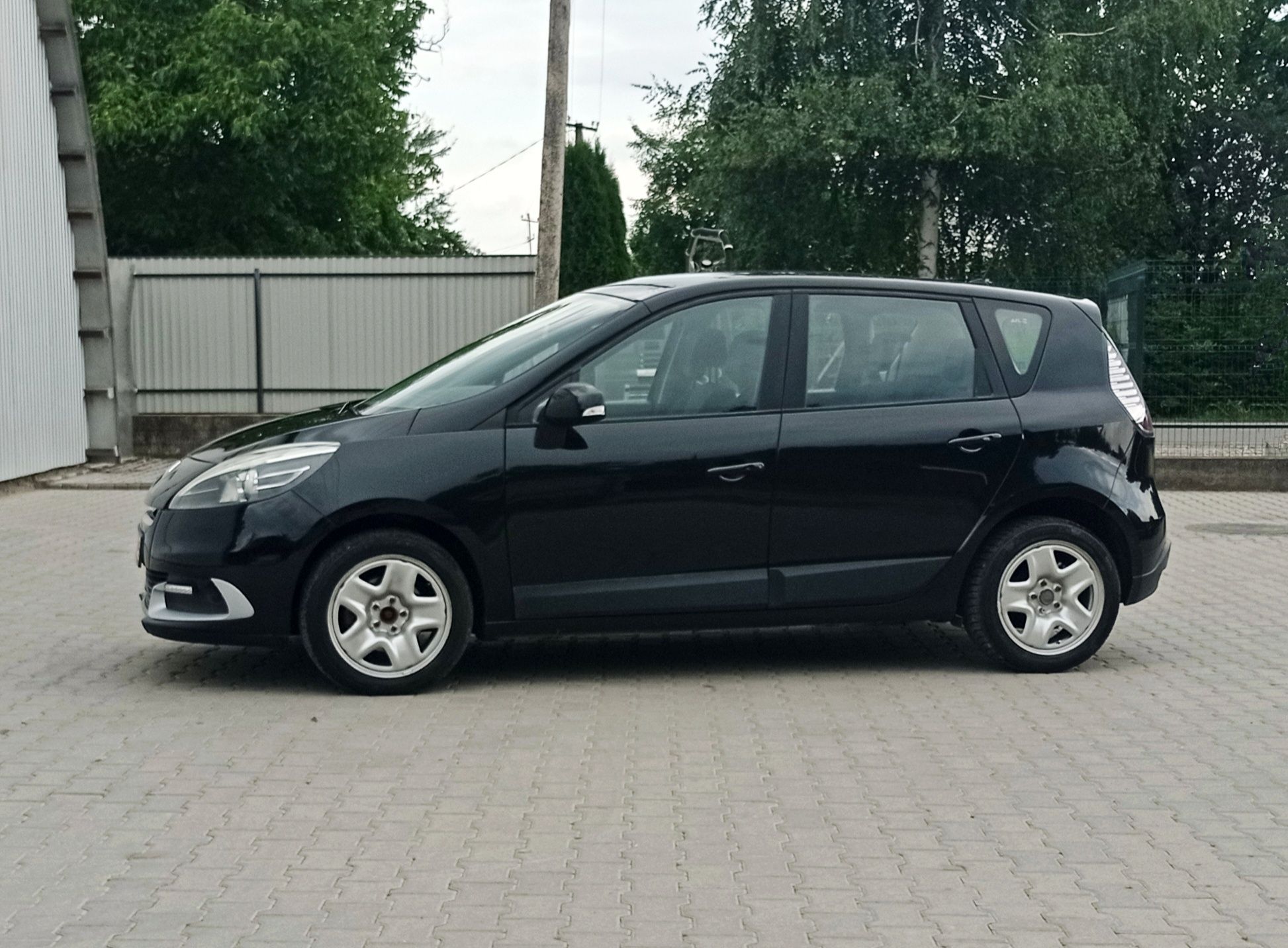 Свіжопригнаний, 2012 р