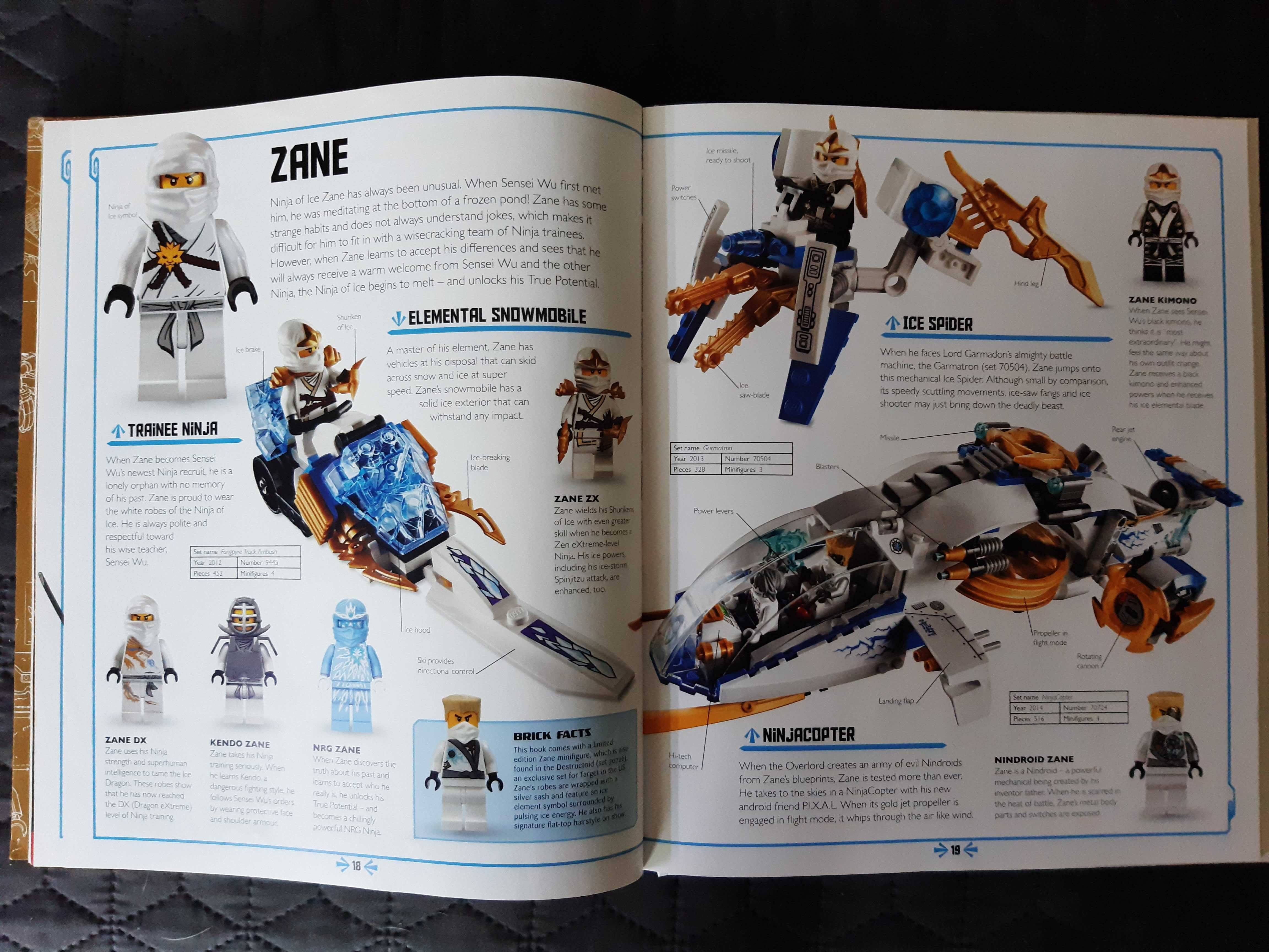 Książka ,,Ninjago Masters of Spinjitzu. The visual dictionary"