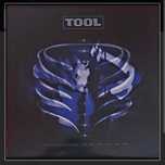 VINIL: Tool,System of a down, Bradley, Jerry's Kids, Sisters Of Mercy