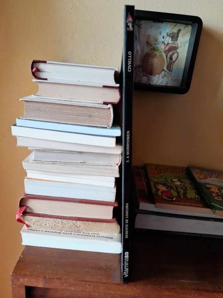 Semente de Loucura 3 A Mirrydwen -Civiello- inclui envio ctt editorial