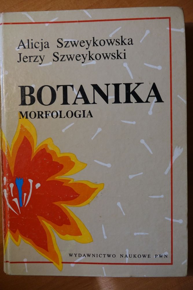 BOTANIKA Morfologia