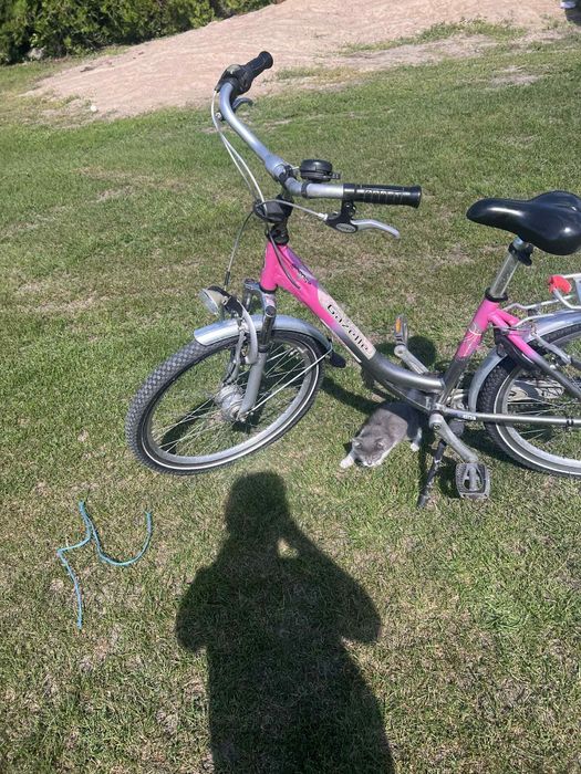 Rower dla dziewczynki 24 całe koła