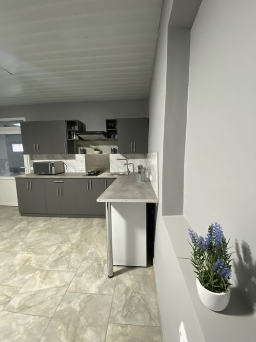 Комерційне приміщення 740 м2 з власною землею