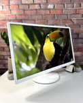 Монітор Fujitsu B24-8 TE Pro·FHD·LED·IPS·ОПТ·Роздріб·ПДВ та без·200ШТ